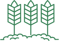 生産・加工・貯蔵施設の整備、体制強化に使える最大60億円の「強い農業づくり総合支援交付金」