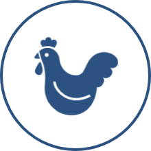 食品業界・農業に特化した補助金です。