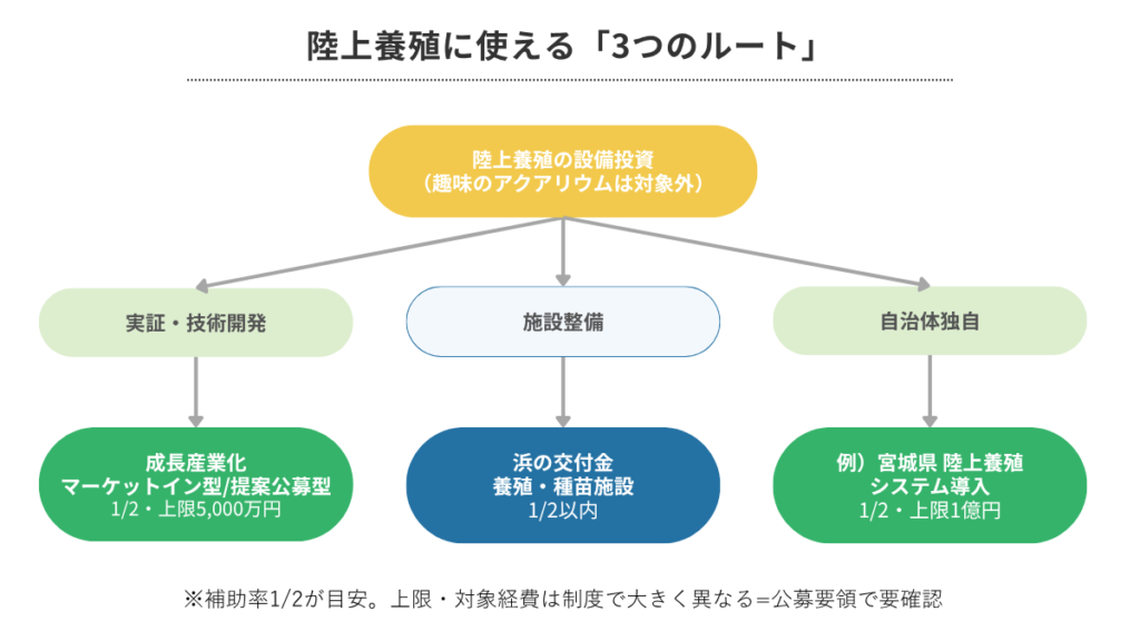 陸上養殖の補助金|陸上養殖に使える「3つのルート」(図解)