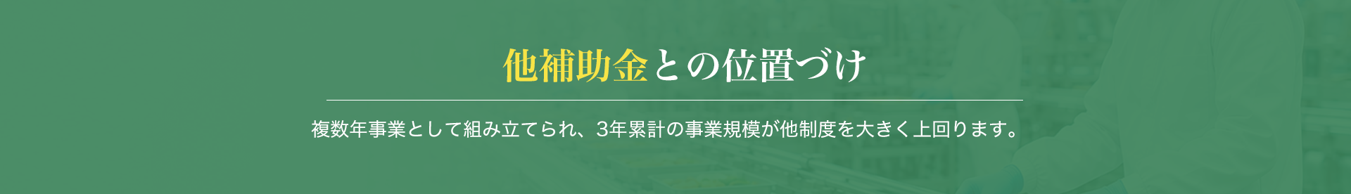 他補助金との位置づけ