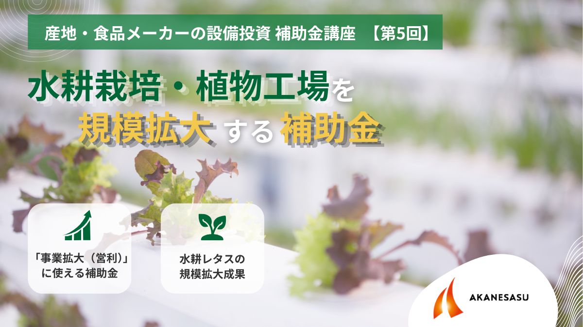 水耕栽培・植物工場を規模拡大する補助金のアイキャッチ