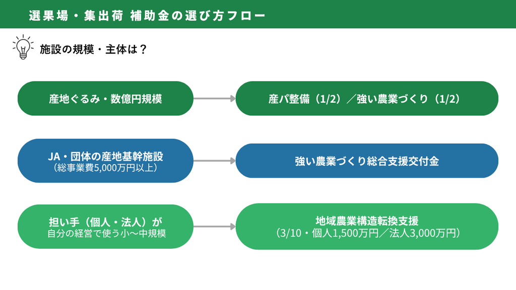 選果場補助金|選果場・集出荷 補助金の選び方フロー(図解)